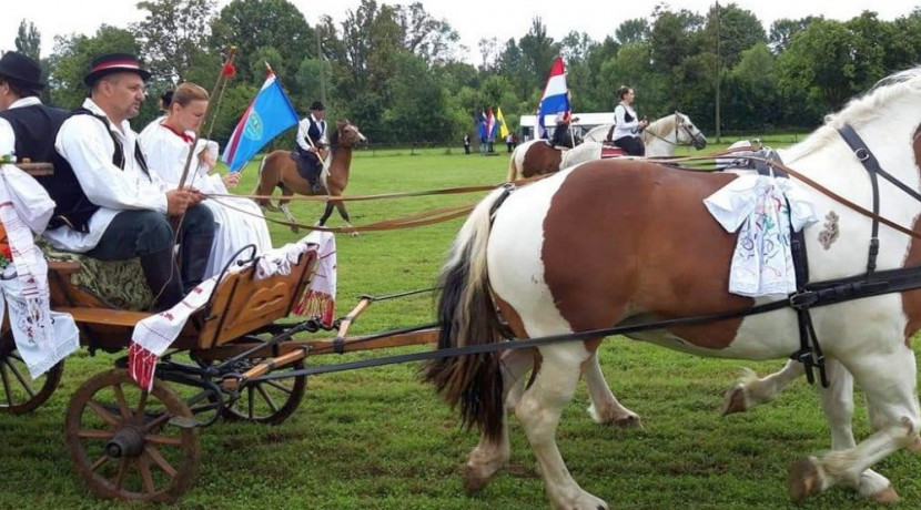 sunja 20195d2dcaff5ce7a