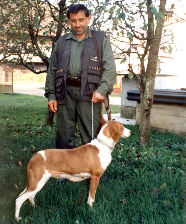 posavski gonič